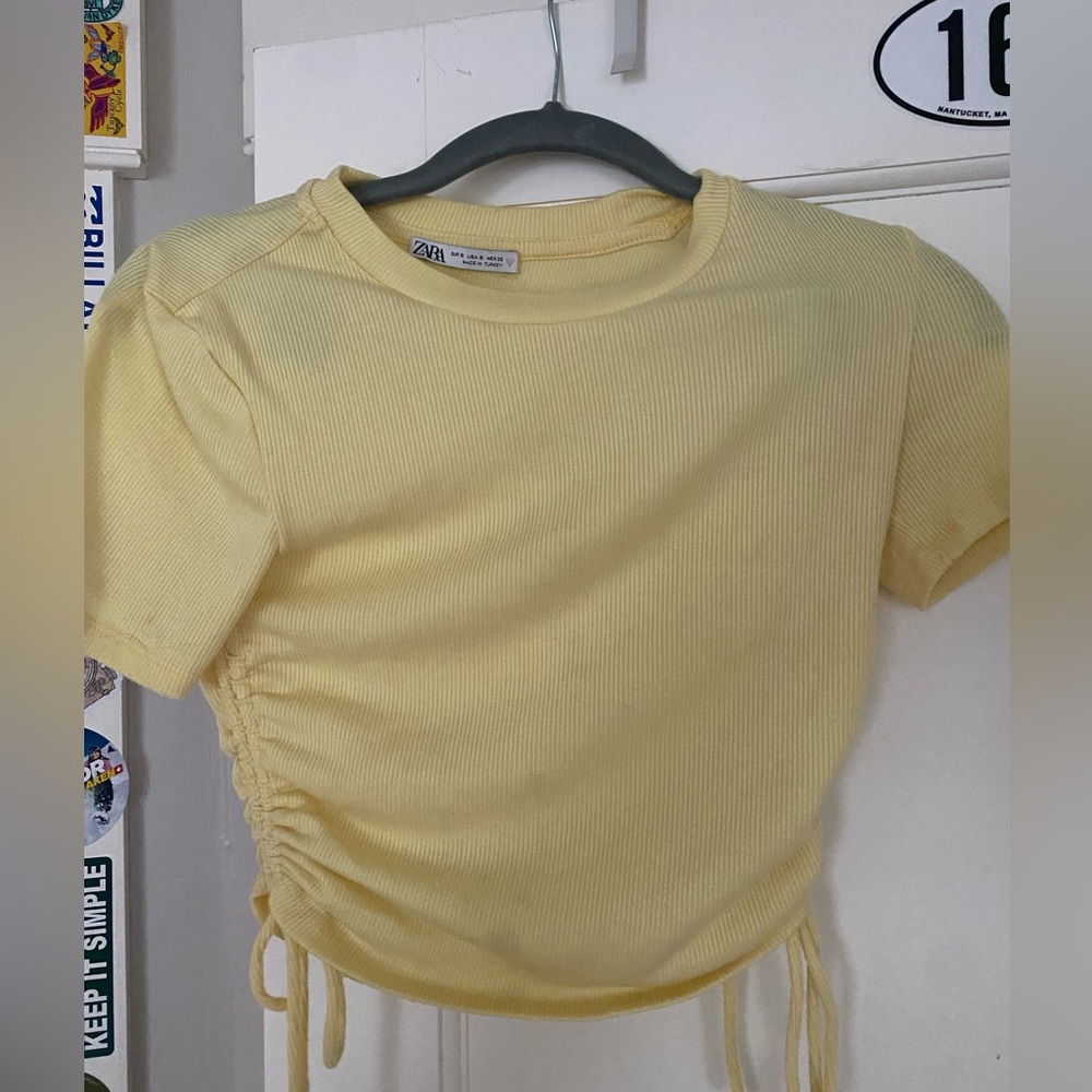 Zara crop top